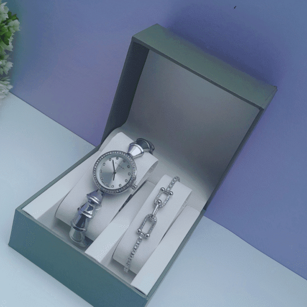 Elegant Spark Silver Ladies 2-in-1 Jewelry Set