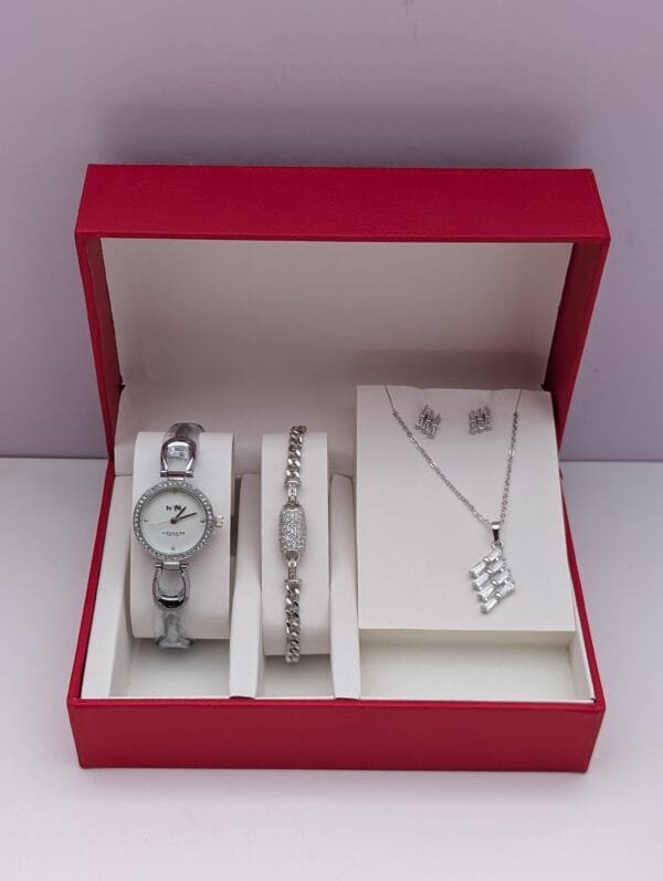 Silver 3 in 1 Ladies Set - Premium Jewelry Collection Bracelet Necklace Earrings